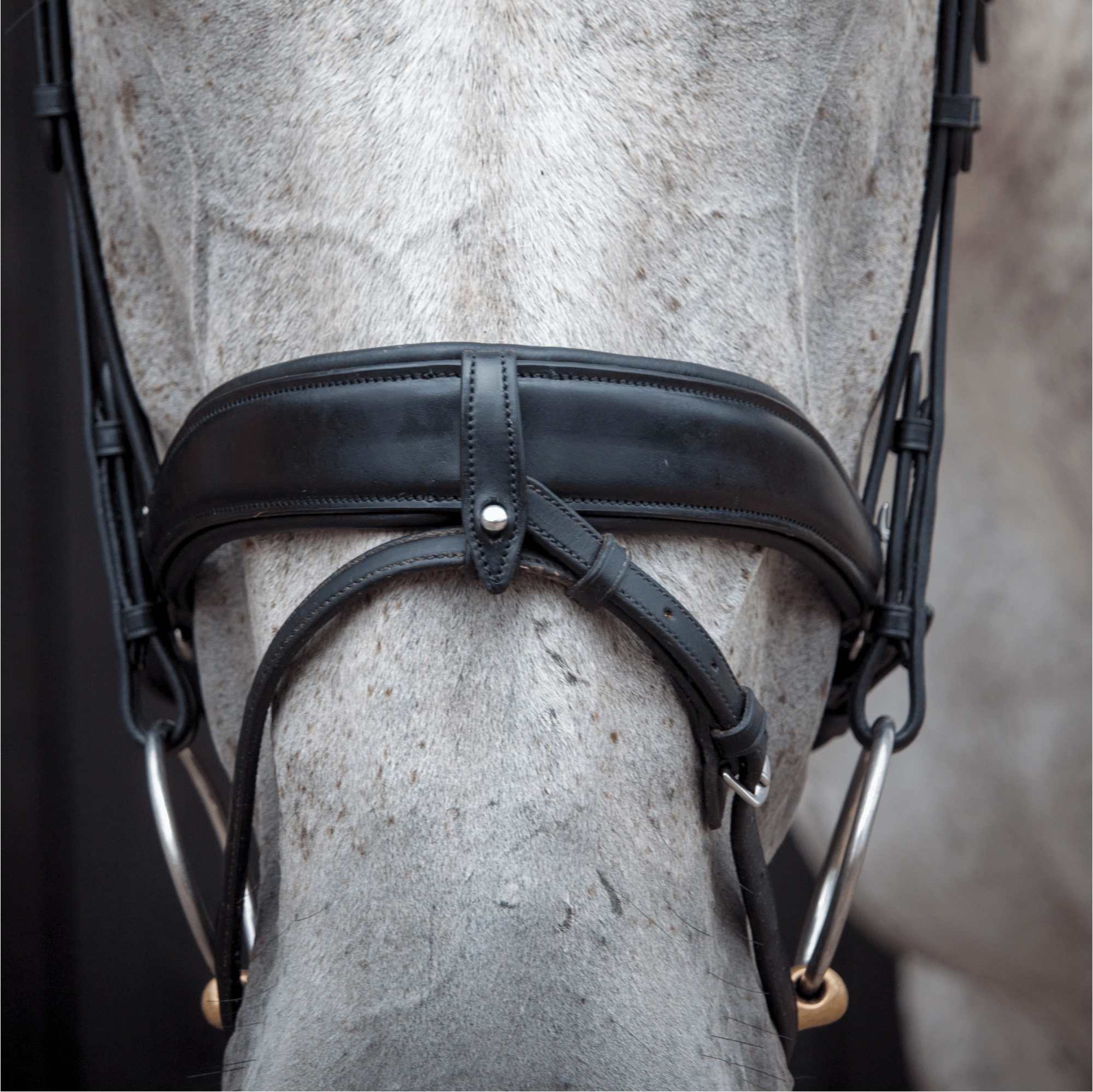 Henry James Saddlery Dressage Bridle HJ-BR-03 - Black